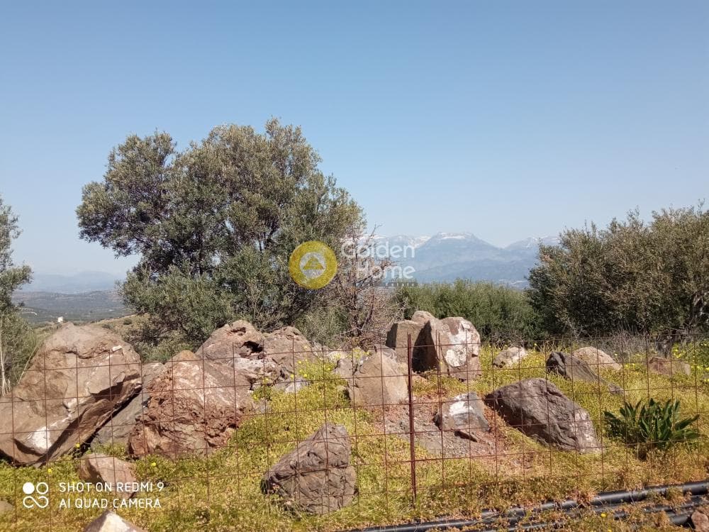 Οικόπεδο στην Κουσές, Μοίρες — Φωτογραφία 11 από 14