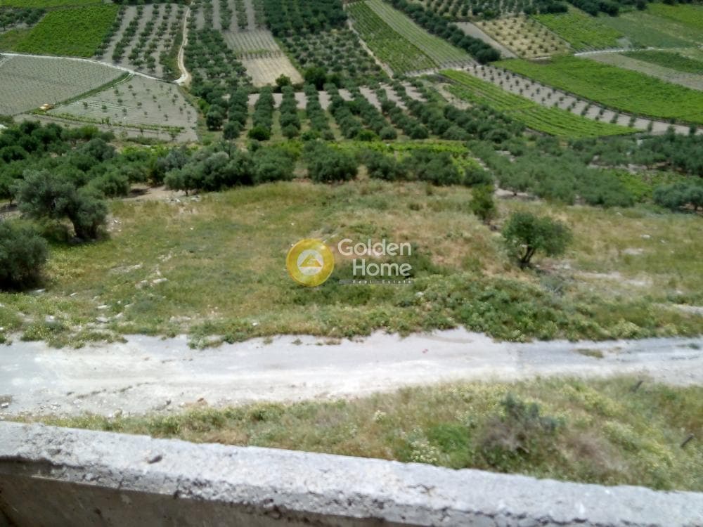 Αγροτεμάχιο στην Δαφνές, Τετραχώρι — Φωτογραφία 1 από 7