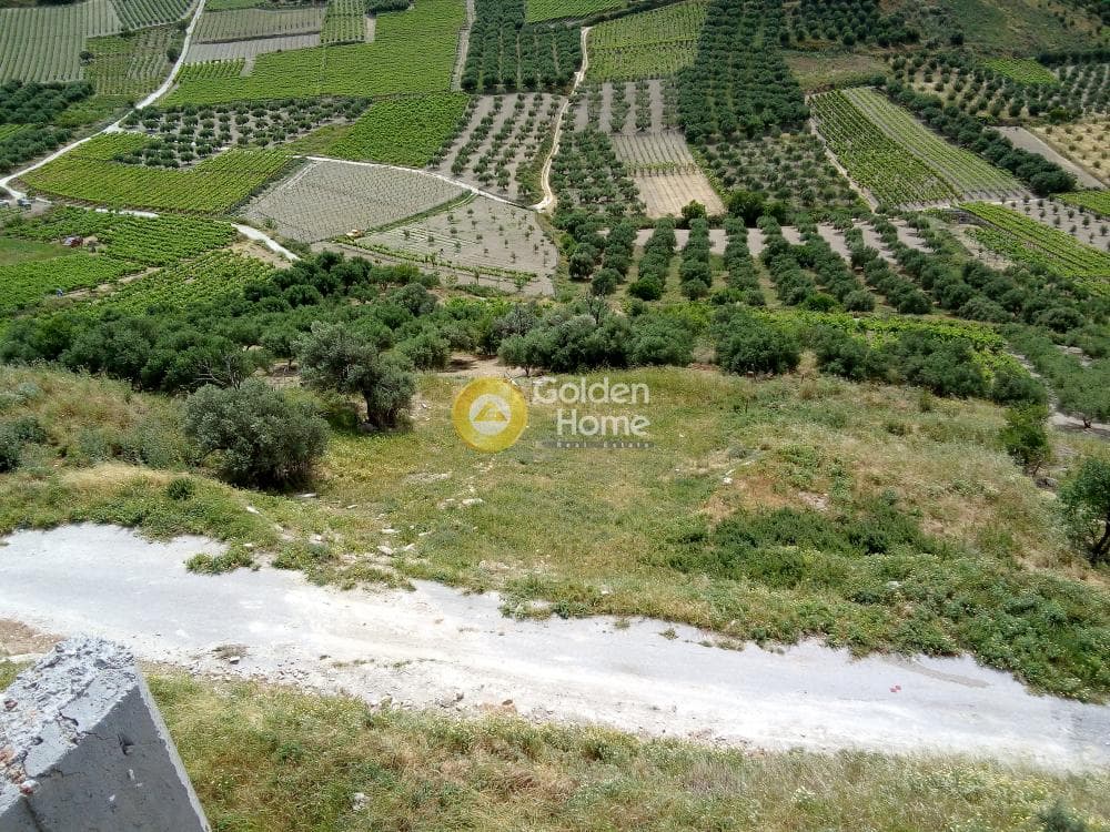 Αγροτεμάχιο στην Δαφνές, Τετραχώρι — Φωτογραφία 3 από 7