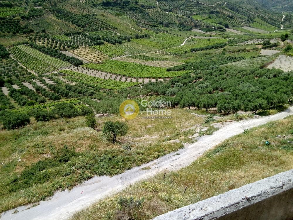 Αγροτεμάχιο στην Δαφνές, Τετραχώρι — Φωτογραφία 5 από 7