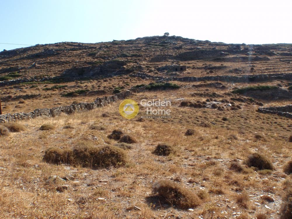 Αγροτεμάχιο στην Πιτροφός, Άνδρος — Φωτογραφία 4 από 4