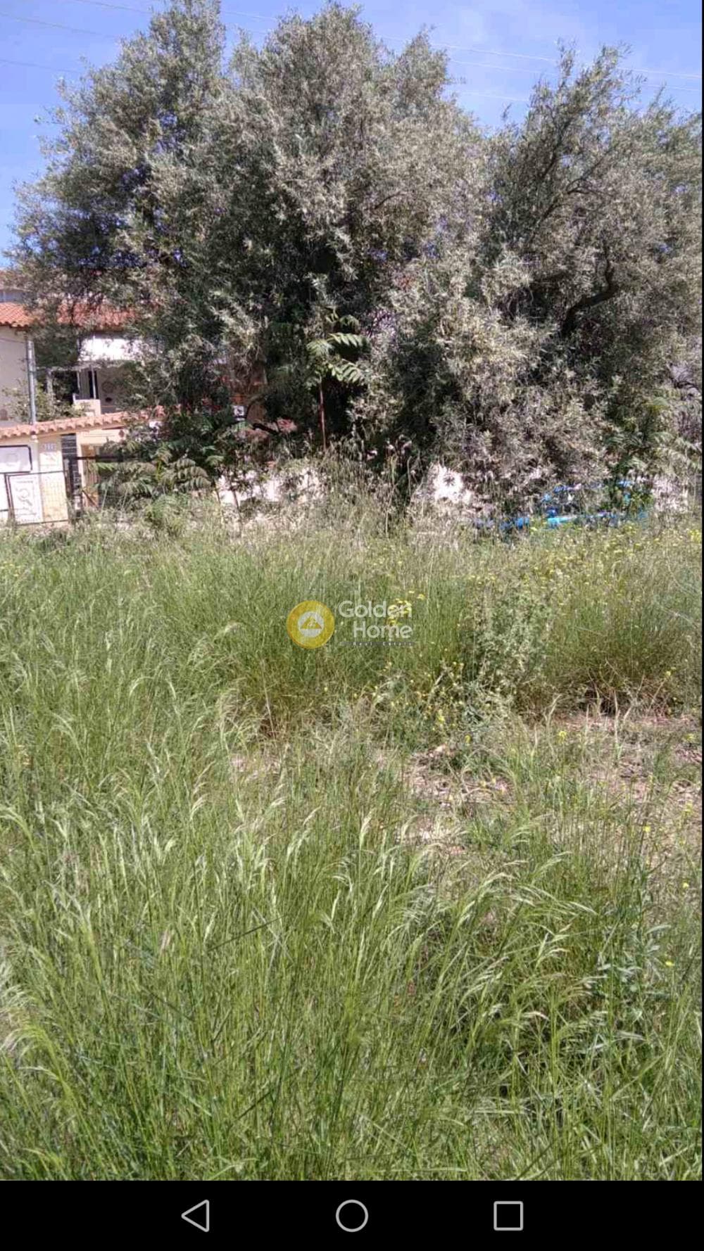 Building Plot in Centre, Glika Nera
