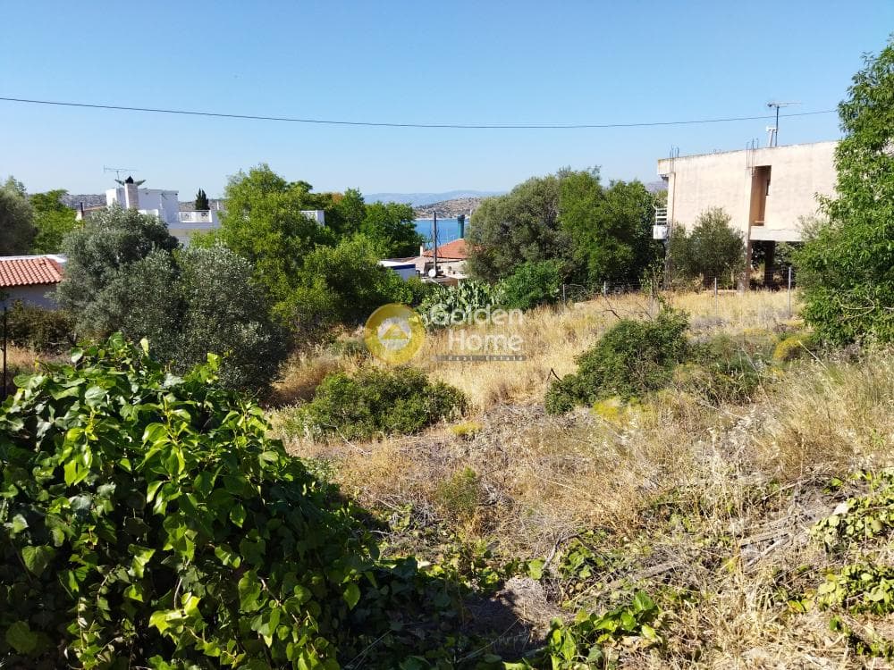 Οικόπεδο στην Σελήνια, Σαλαμίνα — Φωτογραφία 1 από 4