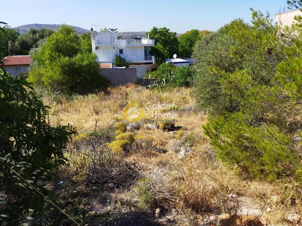 Οικόπεδο στην Σελήνια, Σαλαμίνα — Φωτογραφία 4 από 4