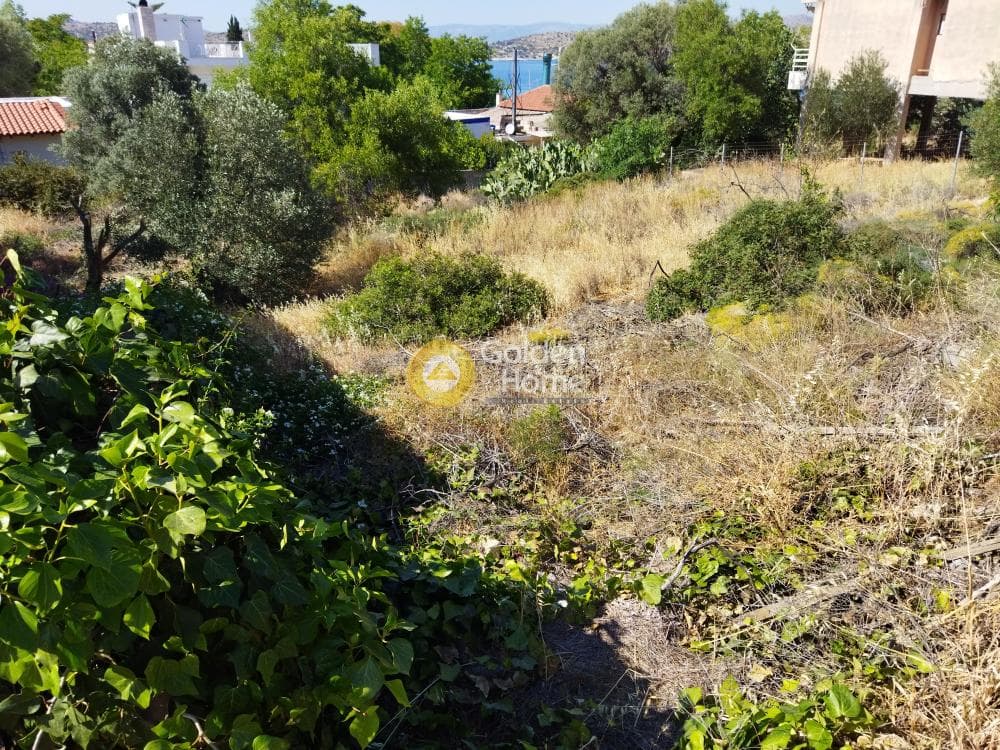 Οικόπεδο στην Σελήνια, Σαλαμίνα — Φωτογραφία 3 από 4