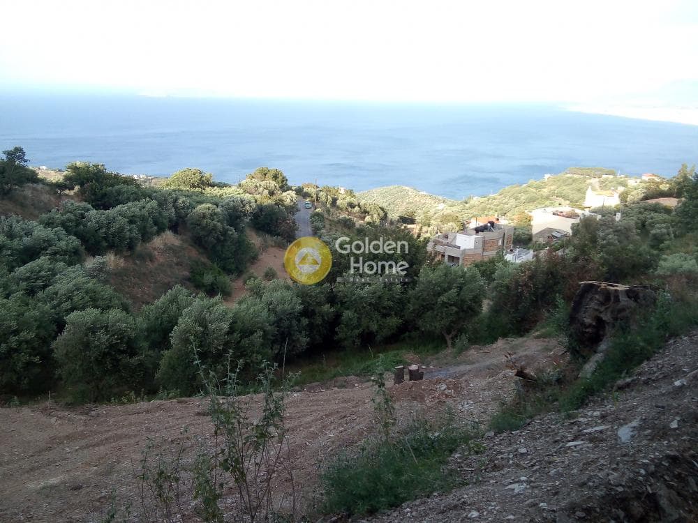 Αγροτεμάχιο στην Ρογδιά, Γάζι — Φωτογραφία 2 από 20