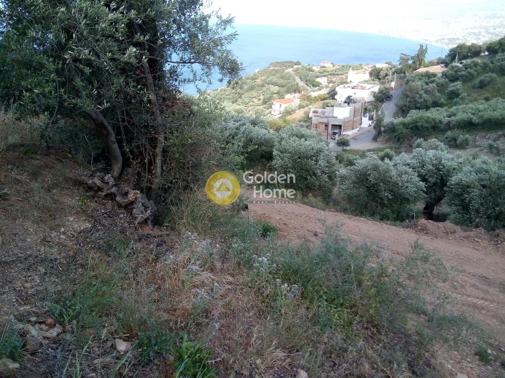 Αγροτεμάχιο στην Ρογδιά, Γάζι — Φωτογραφία 4 από 20