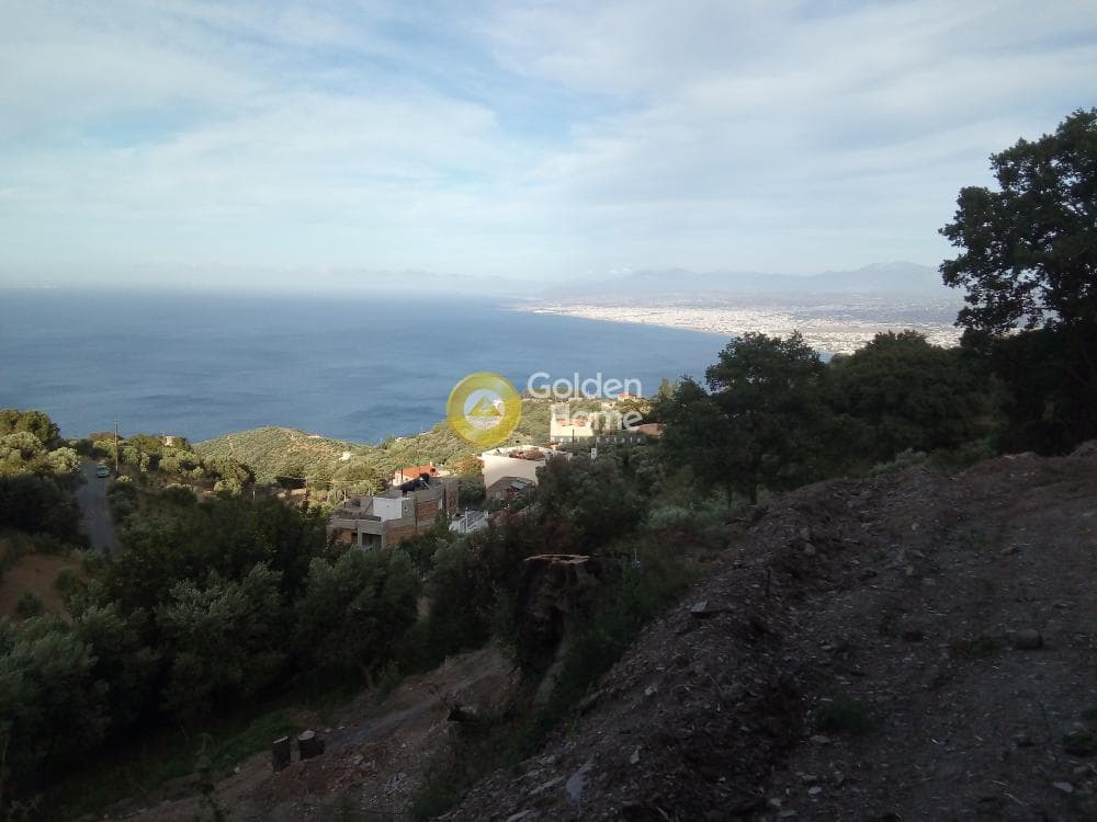 Αγροτεμάχιο στην Ρογδιά, Γάζι — Φωτογραφία 3 από 20