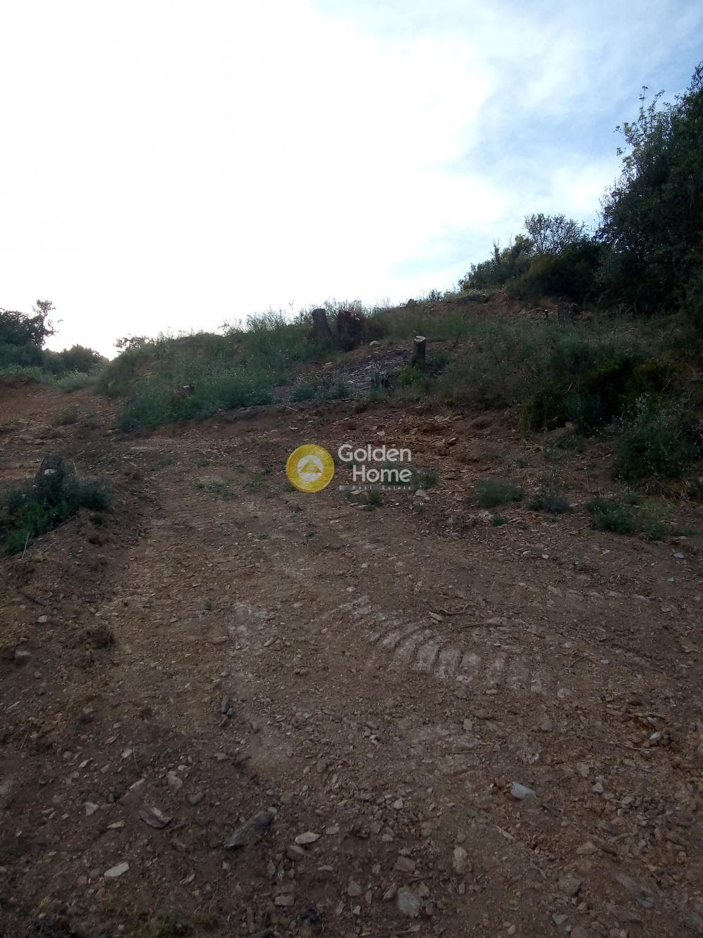 Αγροτεμάχιο στην Ρογδιά, Γάζι — Φωτογραφία 6 από 20