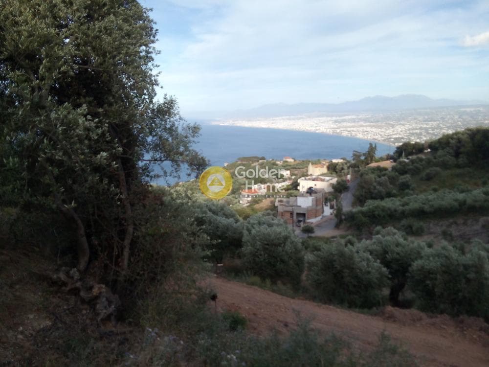 Αγροτεμάχιο στην Ρογδιά, Γάζι — Φωτογραφία 7 από 20