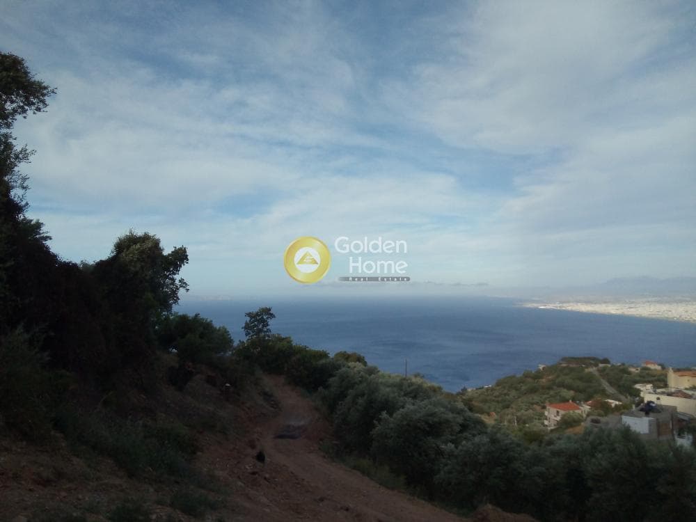 Αγροτεμάχιο στην Ρογδιά, Γάζι — Φωτογραφία 10 από 20