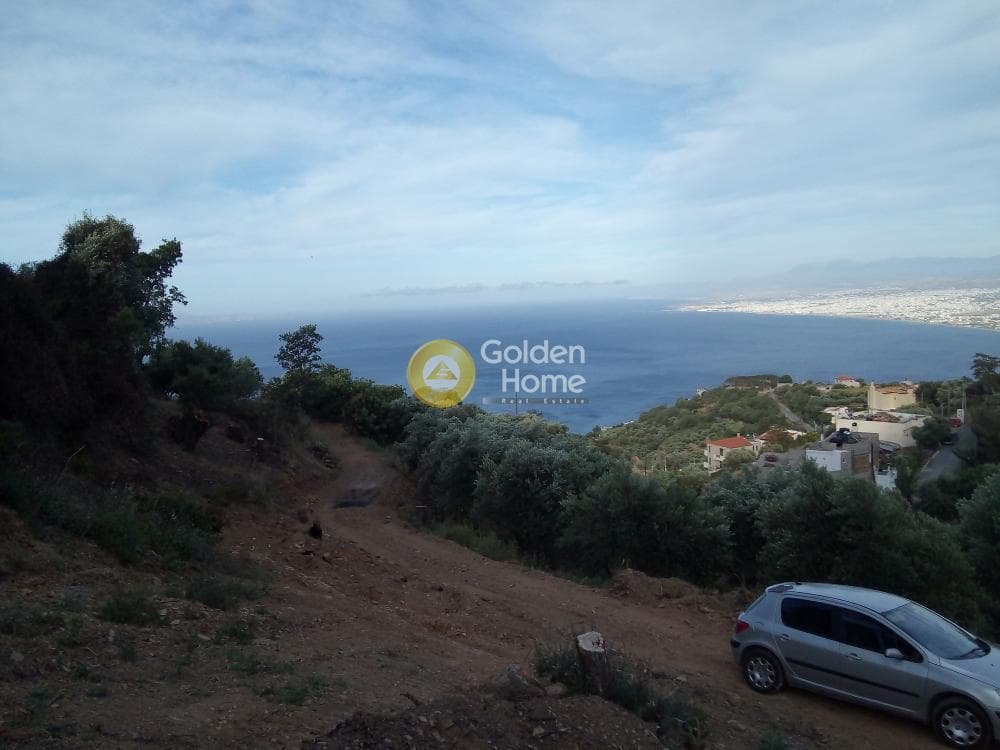 Αγροτεμάχιο στην Ρογδιά, Γάζι — Φωτογραφία 15 από 20