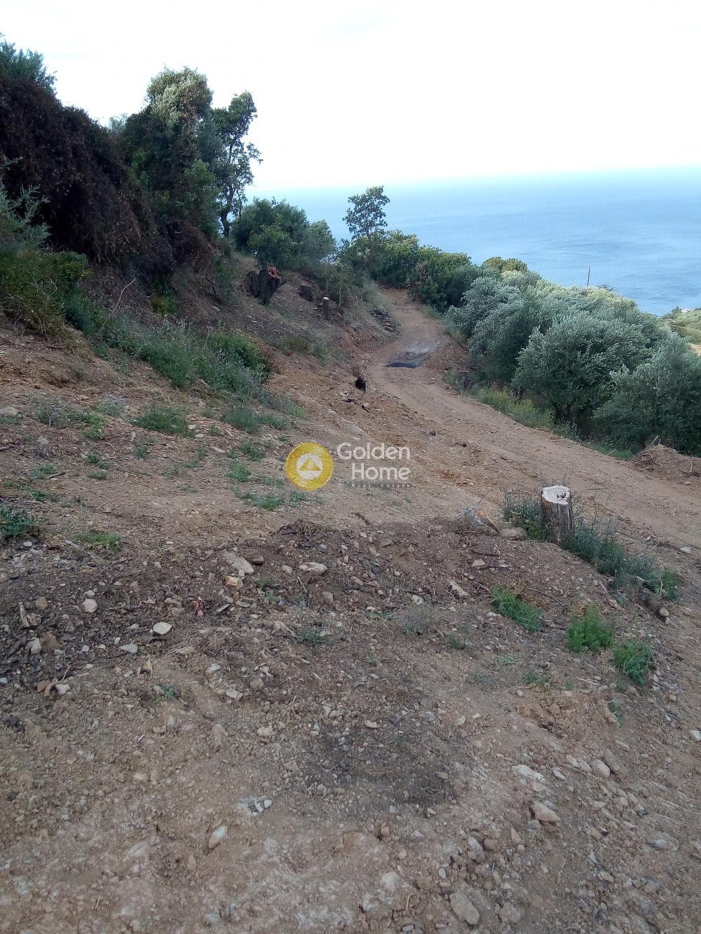 Αγροτεμάχιο στην Ρογδιά, Γάζι — Φωτογραφία 17 από 20