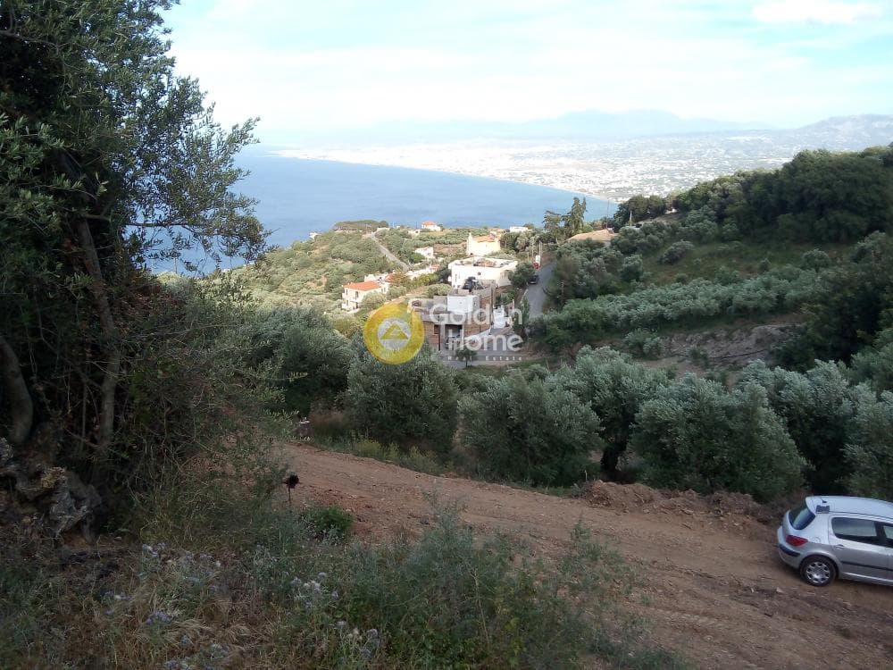 Αγροτεμάχιο στην Ρογδιά, Γάζι — Φωτογραφία 16 από 20