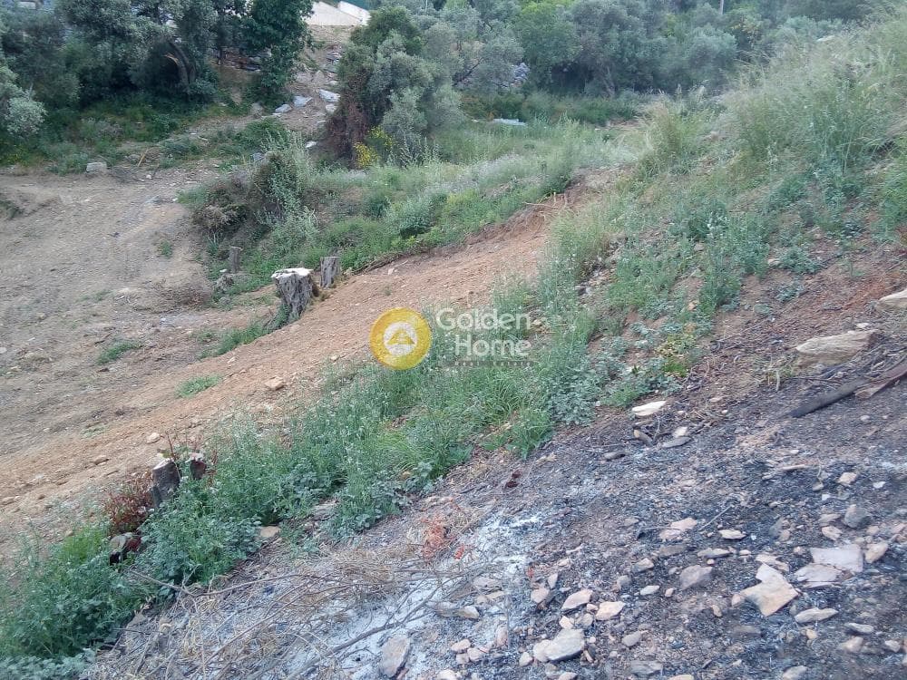 Αγροτεμάχιο στην Ρογδιά, Γάζι — Φωτογραφία 18 από 20