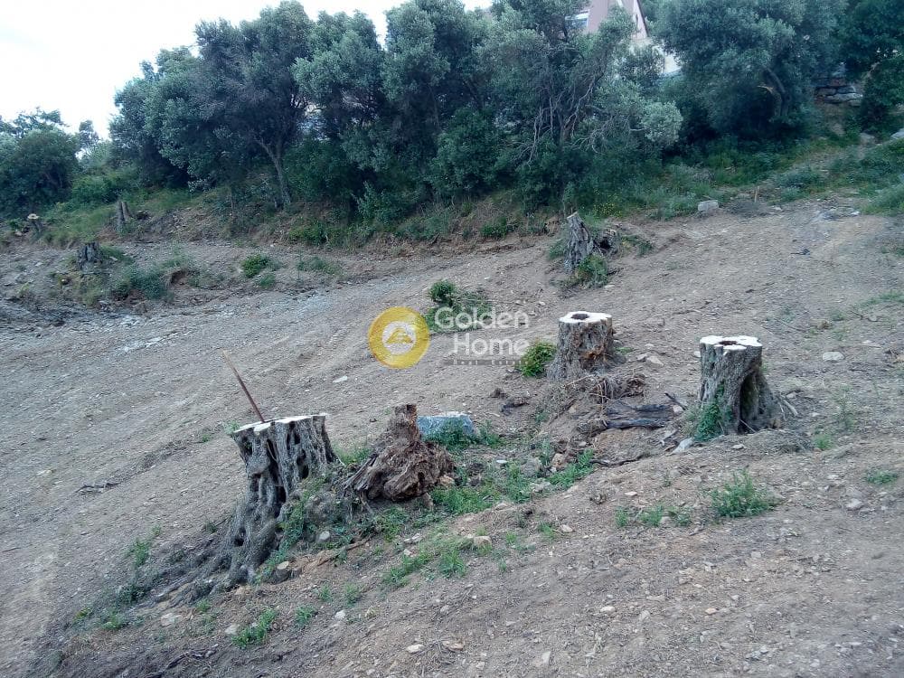 Αγροτεμάχιο στην Ρογδιά, Γάζι — Φωτογραφία 20 από 20