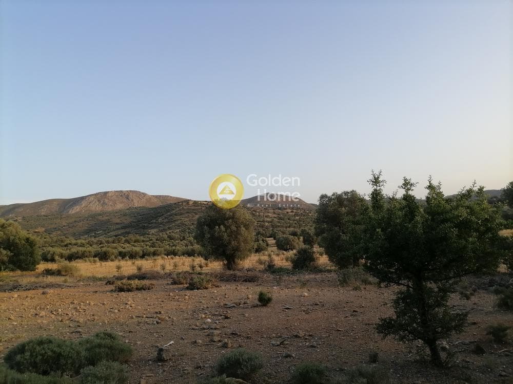 Οικόπεδο στην Κουσές, Μοίρες — Φωτογραφία 3 από 16