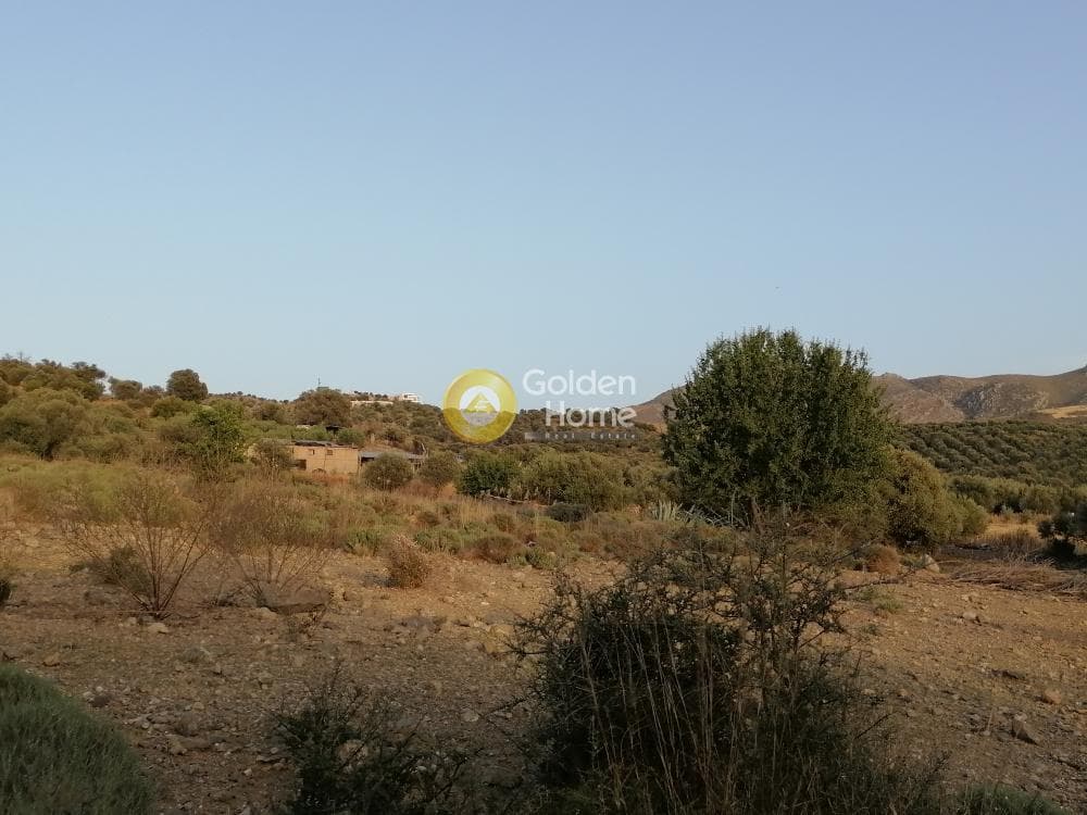 Οικόπεδο στην Κουσές, Μοίρες — Φωτογραφία 4 από 16