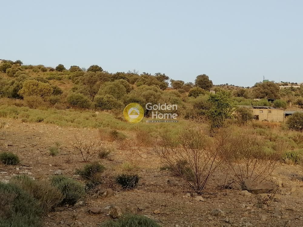 Οικόπεδο στην Κουσές, Μοίρες — Φωτογραφία 5 από 16