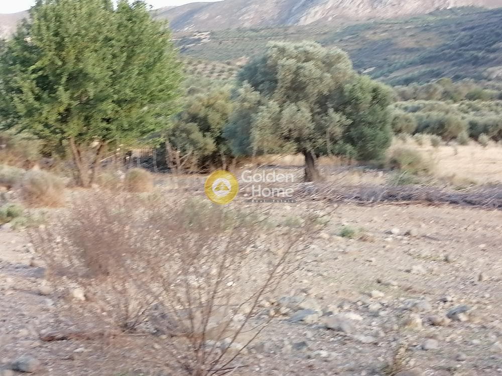 Οικόπεδο στην Κουσές, Μοίρες — Φωτογραφία 7 από 16
