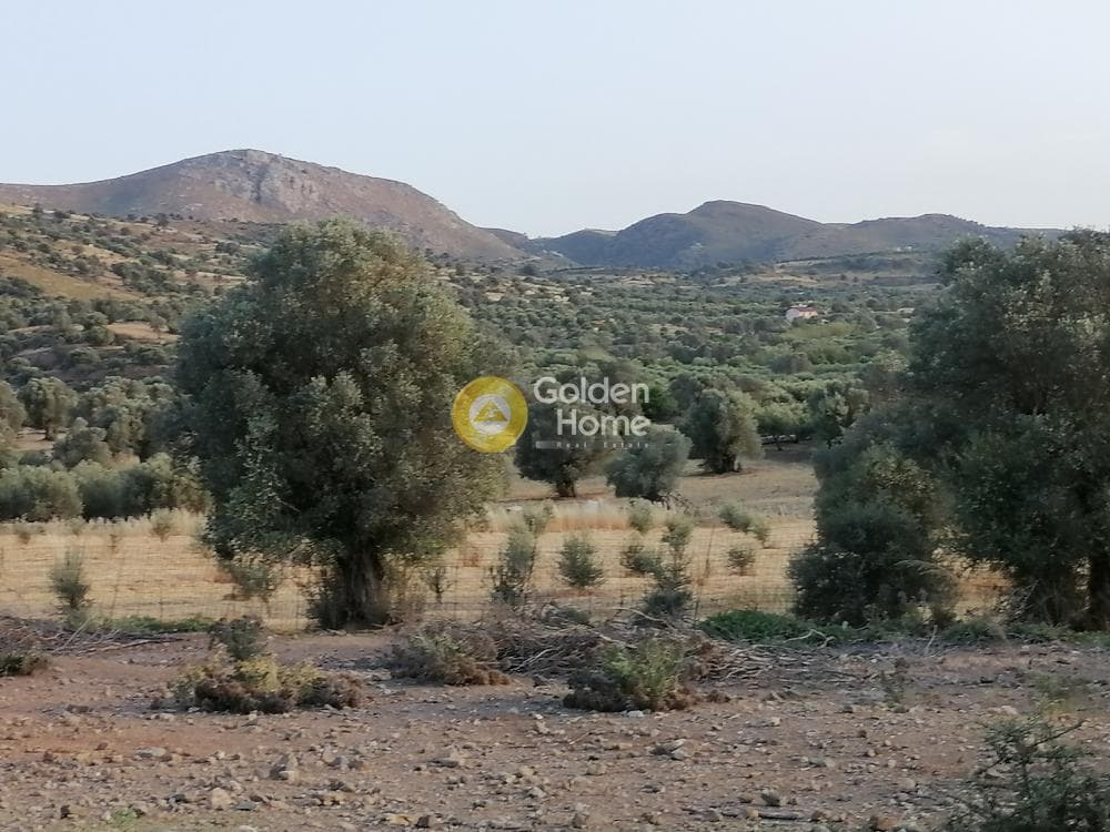 Οικόπεδο στην Κουσές, Μοίρες — Φωτογραφία 8 από 16