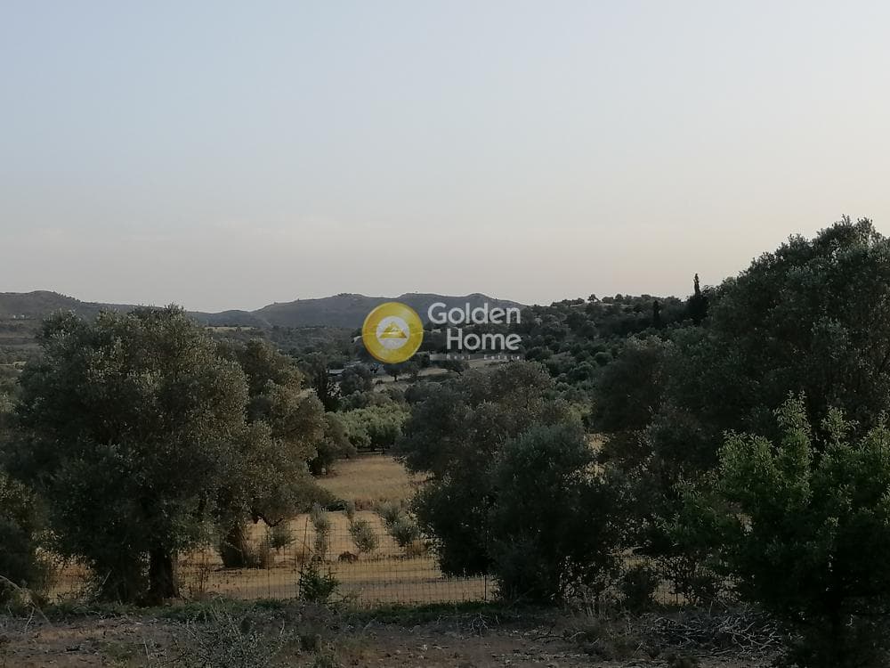 Οικόπεδο στην Κουσές, Μοίρες — Φωτογραφία 9 από 16