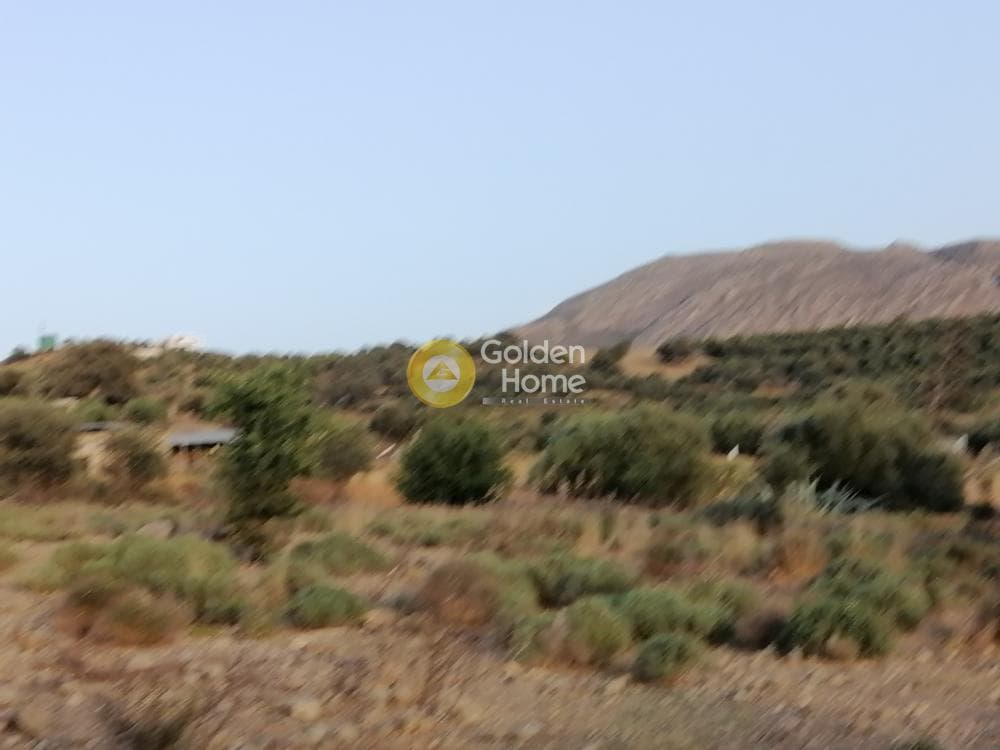Οικόπεδο στην Κουσές, Μοίρες — Φωτογραφία 12 από 16
