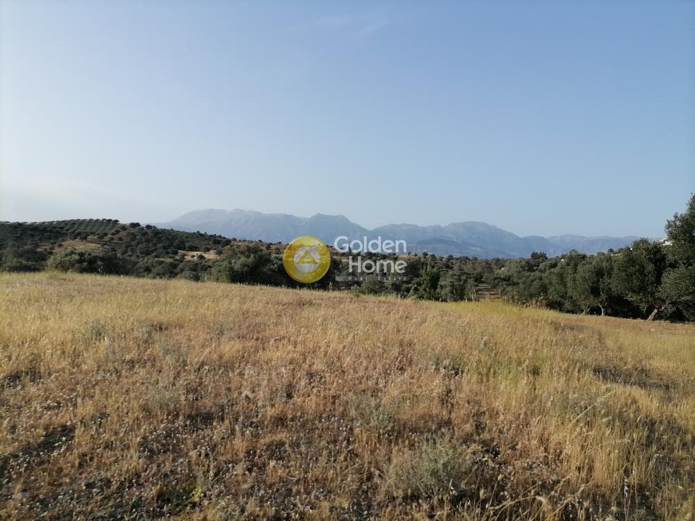 Οικόπεδο στην Πιτσίδια, Τυμπάκι — Φωτογραφία 3 από 23