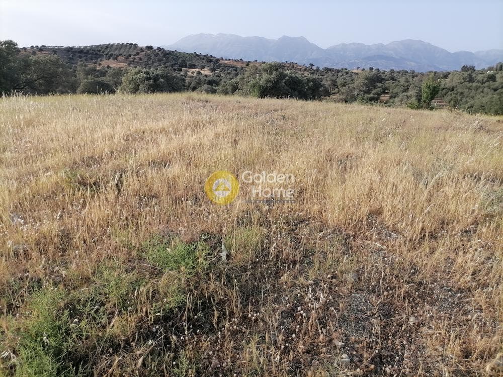 Οικόπεδο στην Πιτσίδια, Τυμπάκι — Φωτογραφία 10 από 23