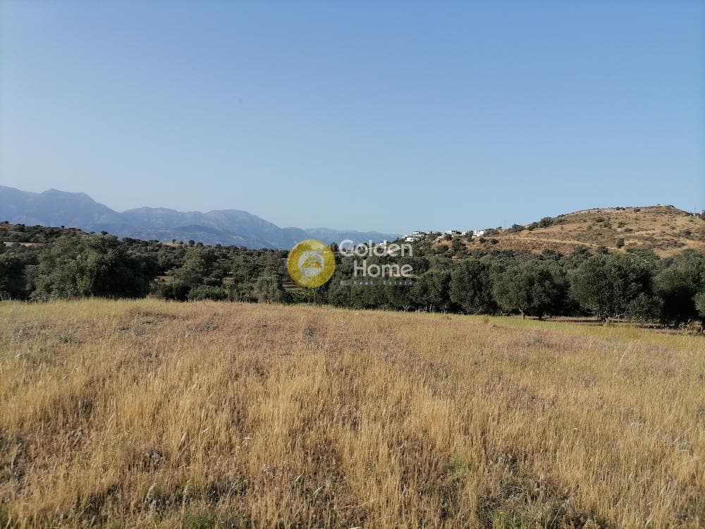 Οικόπεδο στην Πιτσίδια, Τυμπάκι — Φωτογραφία 1 από 23