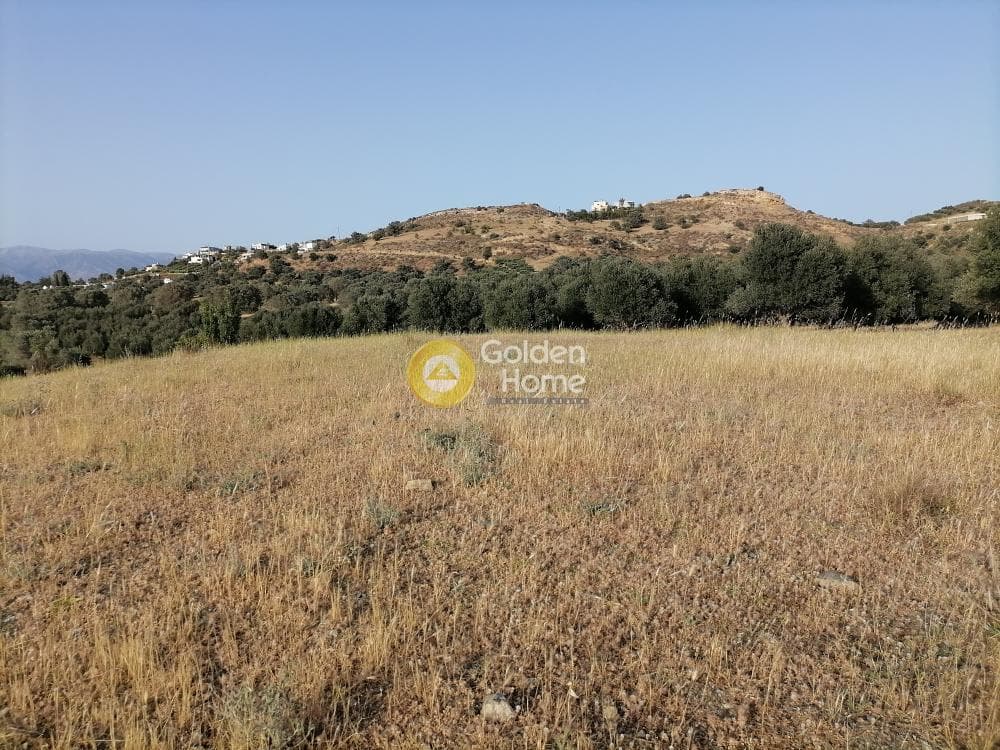 Οικόπεδο στην Πιτσίδια, Τυμπάκι — Φωτογραφία 5 από 23