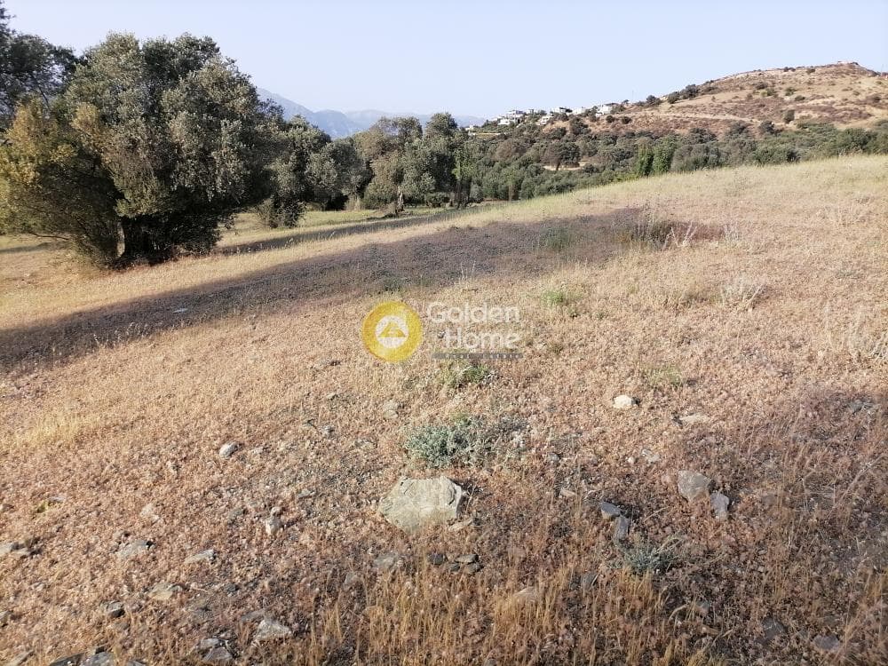 Οικόπεδο στην Πιτσίδια, Τυμπάκι — Φωτογραφία 12 από 23