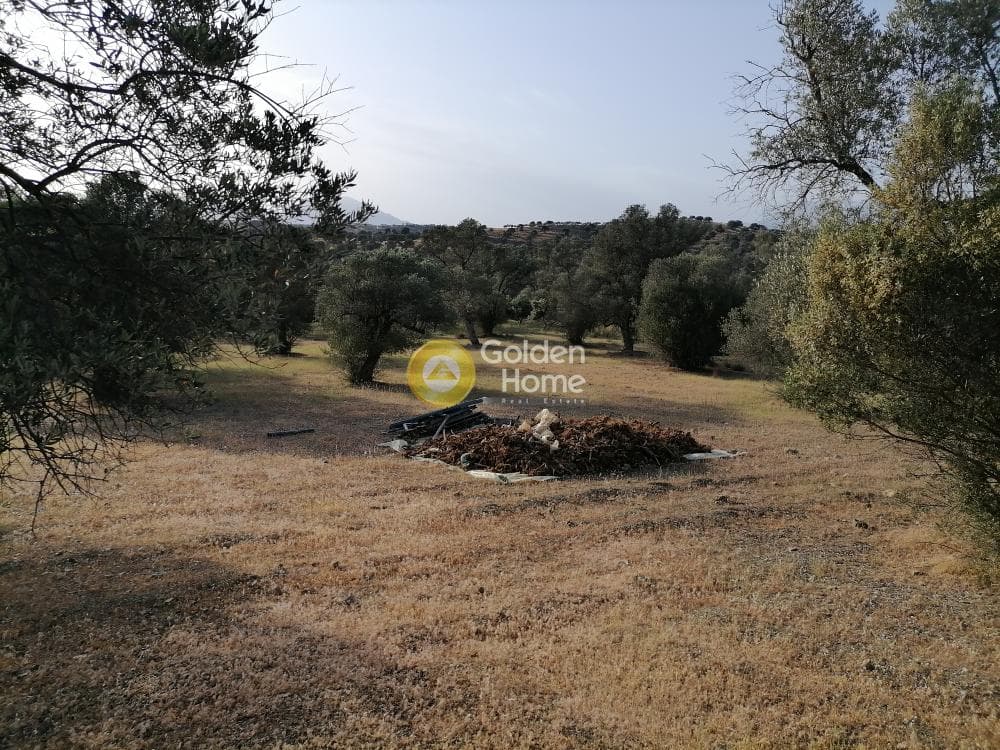 Οικόπεδο στην Πιτσίδια, Τυμπάκι — Φωτογραφία 13 από 23