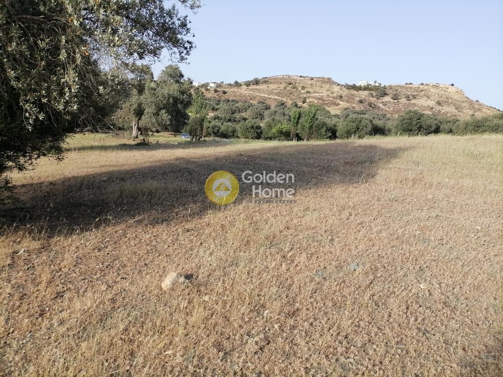 Οικόπεδο στην Πιτσίδια, Τυμπάκι — Φωτογραφία 14 από 23
