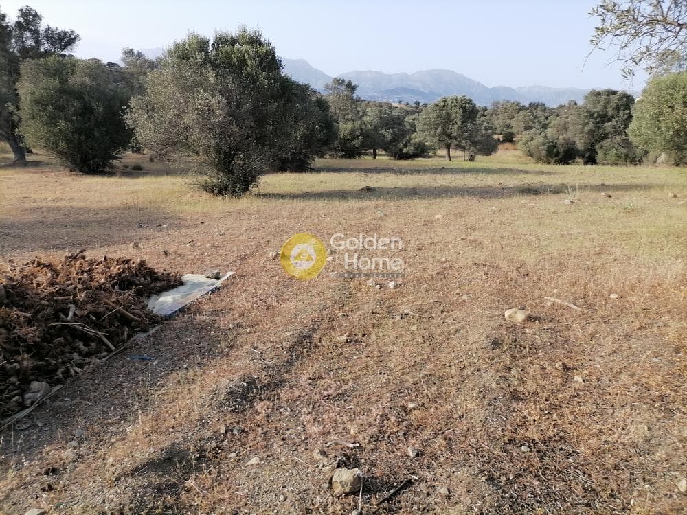 Οικόπεδο στην Πιτσίδια, Τυμπάκι — Φωτογραφία 15 από 23