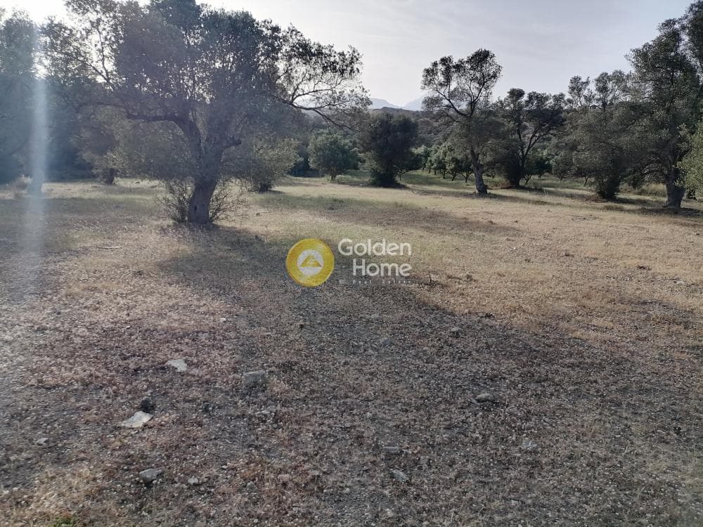 Οικόπεδο στην Πιτσίδια, Τυμπάκι — Φωτογραφία 16 από 23