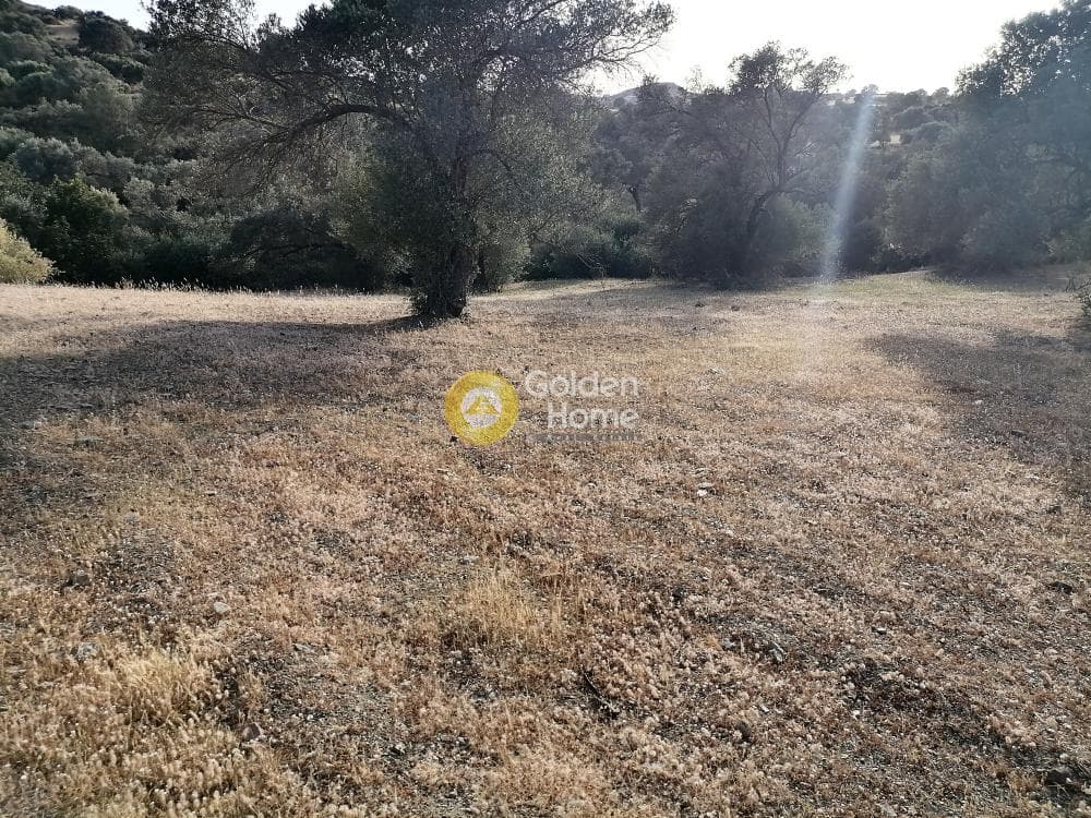 Οικόπεδο στην Πιτσίδια, Τυμπάκι — Φωτογραφία 17 από 23