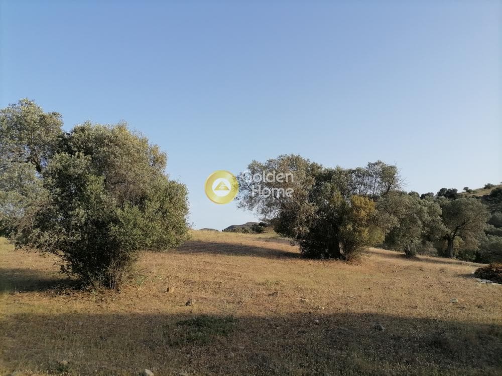 Οικόπεδο στην Πιτσίδια, Τυμπάκι — Φωτογραφία 19 από 23
