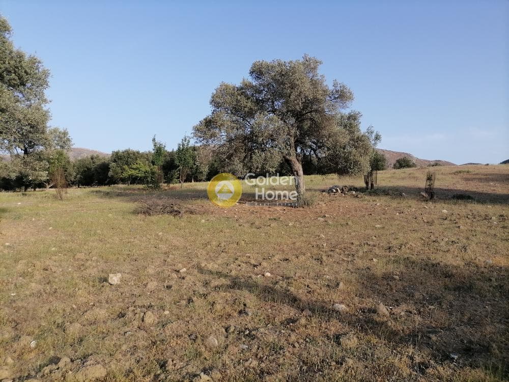 Οικόπεδο στην Πιτσίδια, Τυμπάκι — Φωτογραφία 20 από 23