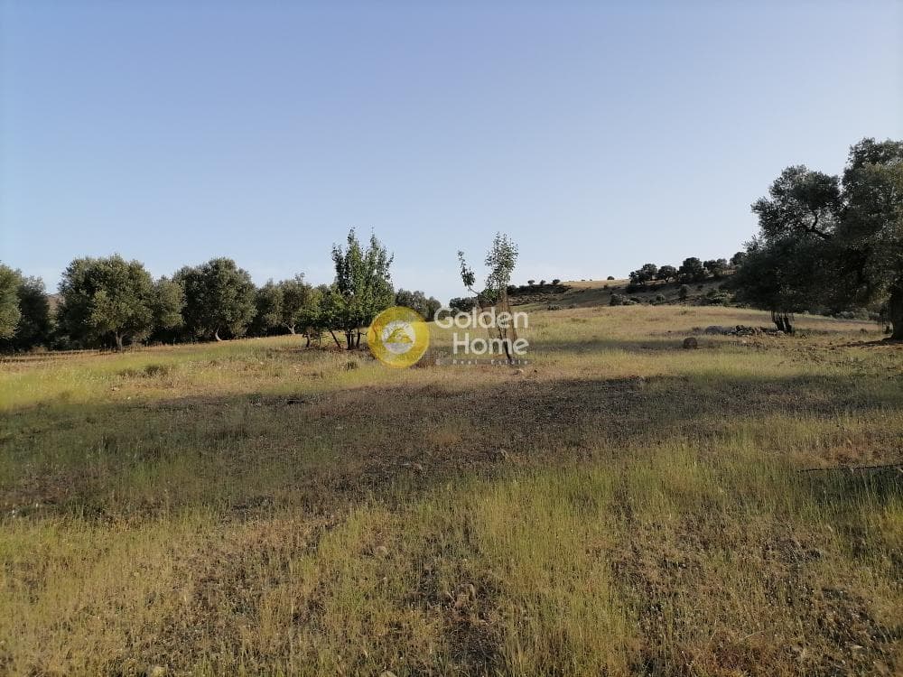 Οικόπεδο στην Πιτσίδια, Τυμπάκι — Φωτογραφία 21 από 23