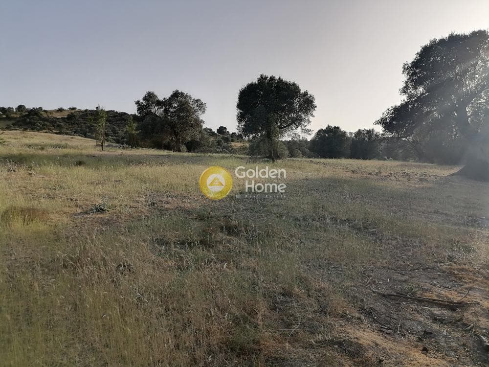 Οικόπεδο στην Πιτσίδια, Τυμπάκι — Φωτογραφία 23 από 23