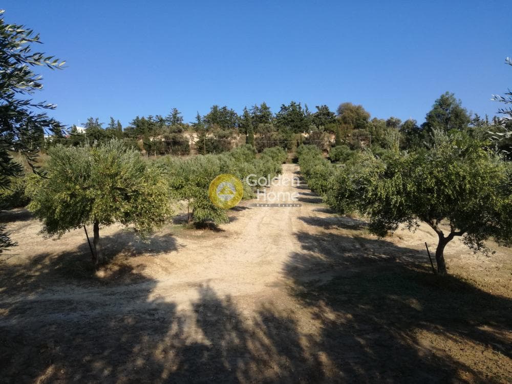 Building Plot in Gournes, Temenos — Photo 13 of 20