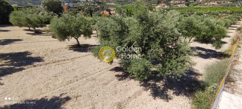 Building Plot in Gournes, Temenos — Photo 15 of 20