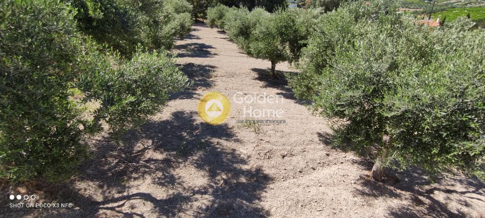 Building Plot in Gournes, Temenos — Photo 9 of 20