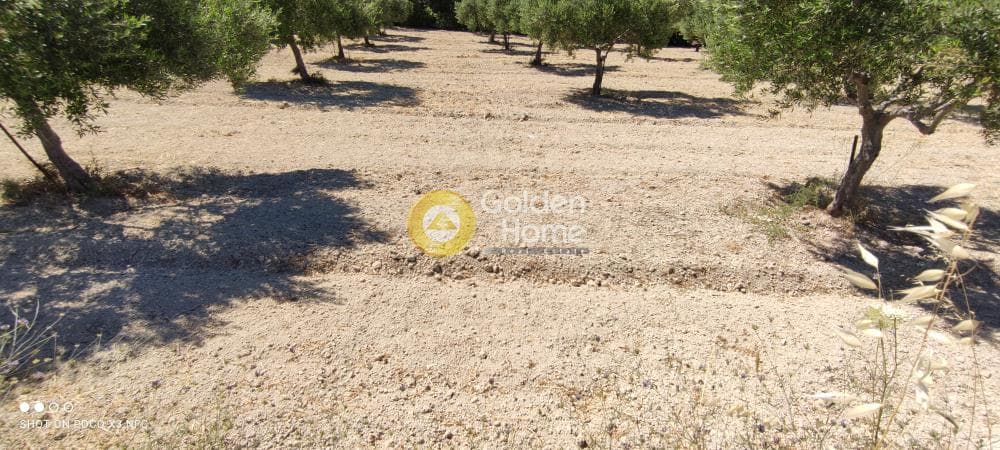 Building Plot in Gournes, Temenos — Photo 18 of 20