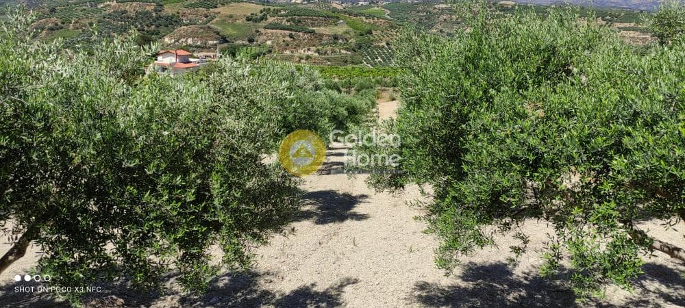 Building Plot in Gournes, Temenos — Photo 6 of 20