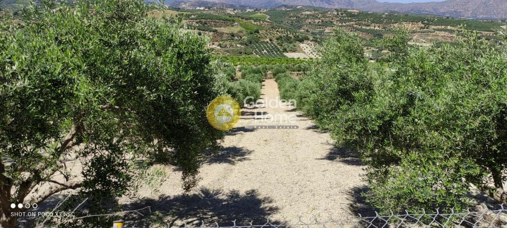 Building Plot in Gournes, Temenos — Photo 20 of 20