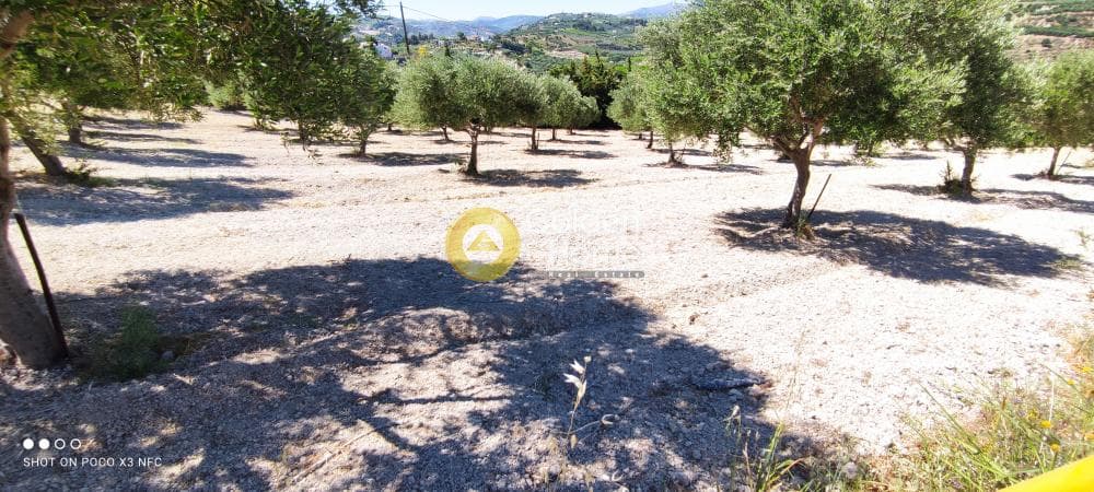 Building Plot in Gournes, Temenos — Photo 4 of 20