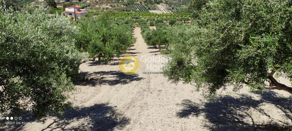 Building Plot in Gournes, Temenos — Photo 19 of 20