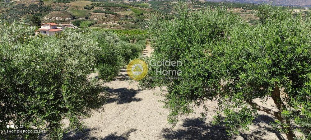 Building Plot in Gournes, Temenos — Photo 10 of 20